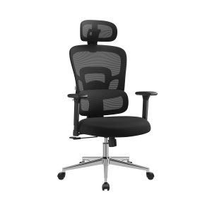 Ergonomic Office Chair with Headrest and Armrests