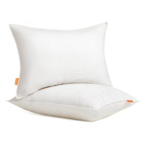Bed Pillows Set of 2